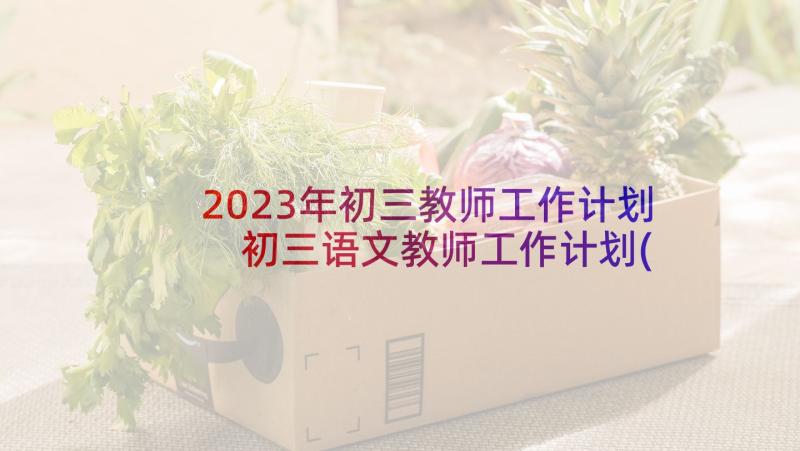 2023年初三教师工作计划 初三语文教师工作计划(模板8篇)