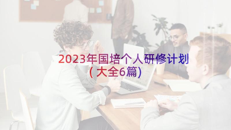 2023年国培个人研修计划(大全6篇)