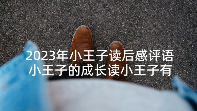 2023年小王子读后感评语 小王子的成长读小王子有感(优秀10篇)