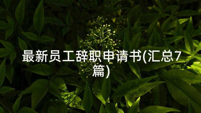 最新员工辞职申请书(汇总7篇)