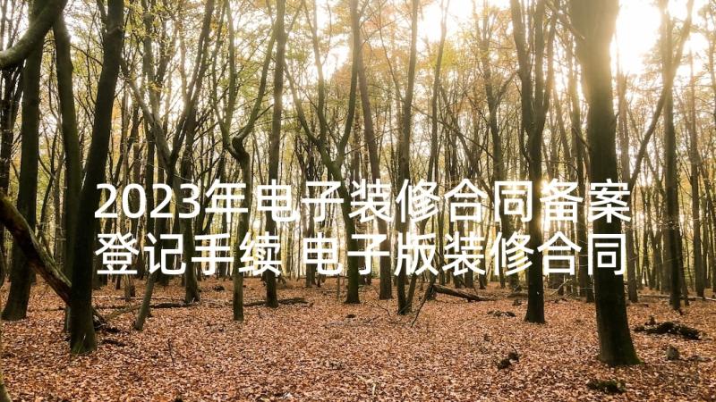 2023年电子装修合同备案登记手续 电子版装修合同(通用10篇)