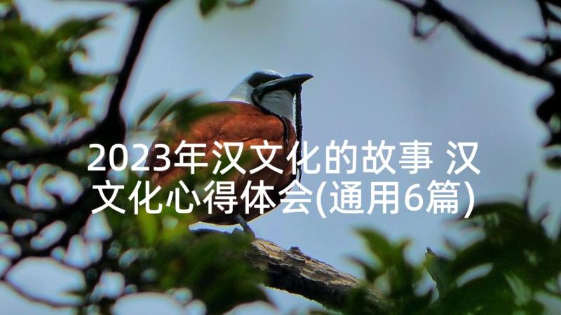 2023年汉文化的故事 汉文化心得体会(通用6篇)