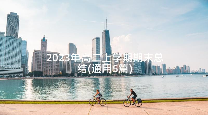 2023年高二上学期期末总结(通用5篇)