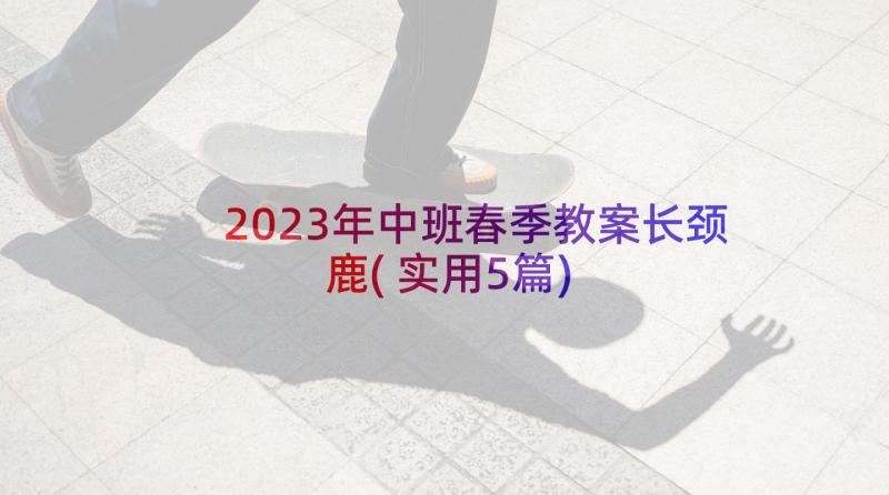 2023年中班春季教案长颈鹿(实用5篇)