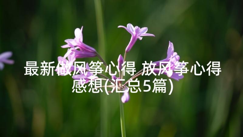 最新做风筝心得 放风筝心得感想(汇总5篇)