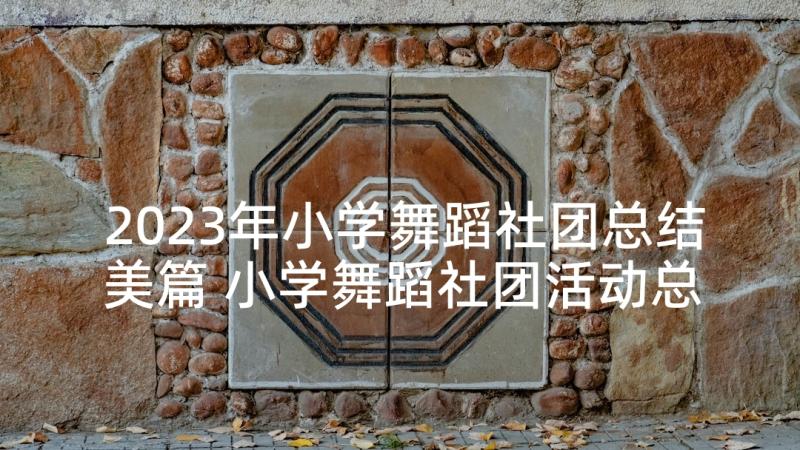 2023年小学舞蹈社团总结美篇 小学舞蹈社团活动总结(大全5篇)