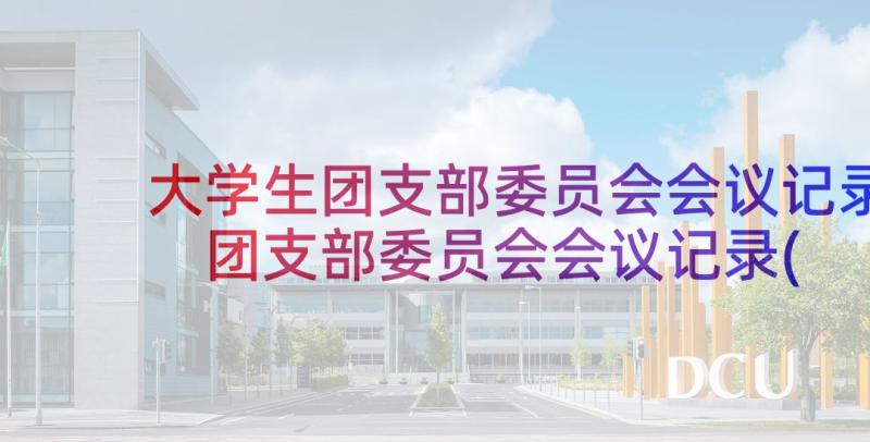 大学生团支部委员会会议记录 团支部委员会会议记录(优秀5篇)