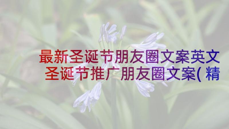 最新圣诞节朋友圈文案英文 圣诞节推广朋友圈文案(精选10篇)