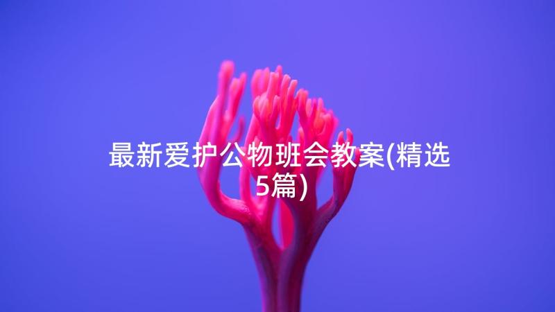 最新爱护公物班会教案(精选5篇)