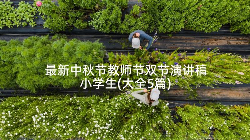 最新中秋节教师节双节演讲稿小学生(大全5篇)