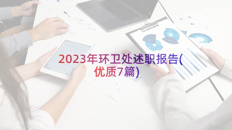 2023年环卫处述职报告(优质7篇)