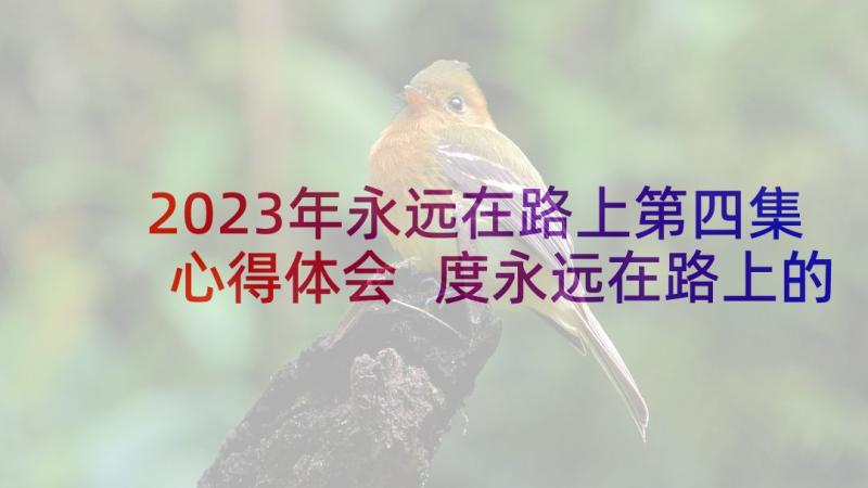 2023年永远在路上第四集心得体会 度永远在路上的心得体会(实用7篇)