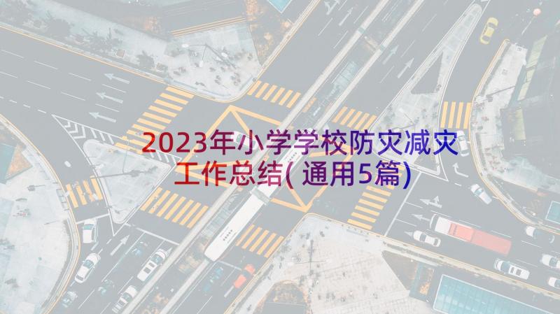 2023年小学学校防灾减灾工作总结(通用5篇)