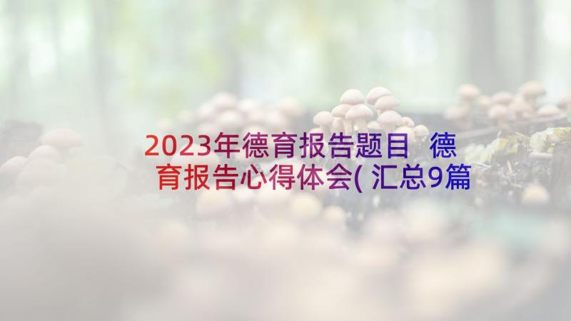 2023年德育报告题目 德育报告心得体会(汇总9篇)
