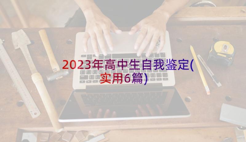 2023年高中生自我鉴定(实用6篇)