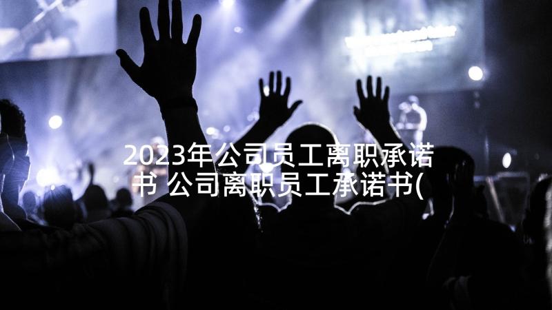 2023年公司员工离职承诺书 公司离职员工承诺书(通用5篇)