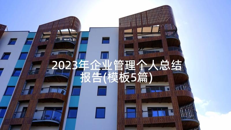 2023年企业管理个人总结报告(模板5篇)