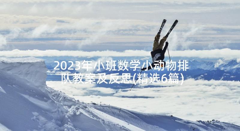 2023年小班数学小动物排队教案及反思(精选6篇)