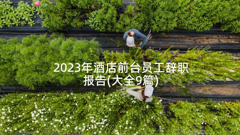 2023年酒店前台员工辞职报告(大全9篇)