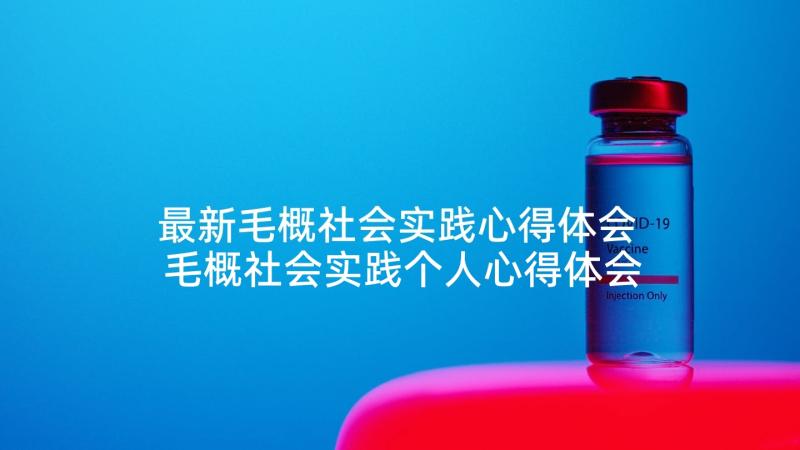 最新毛概社会实践心得体会 毛概社会实践个人心得体会(优秀5篇)