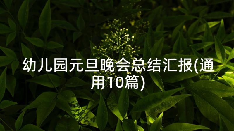 幼儿园元旦晚会总结汇报(通用10篇)