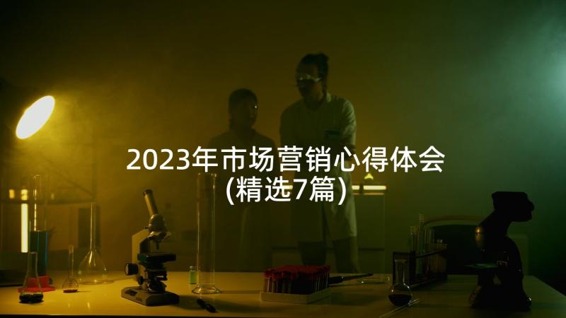 2023年市场营销心得体会(精选7篇)