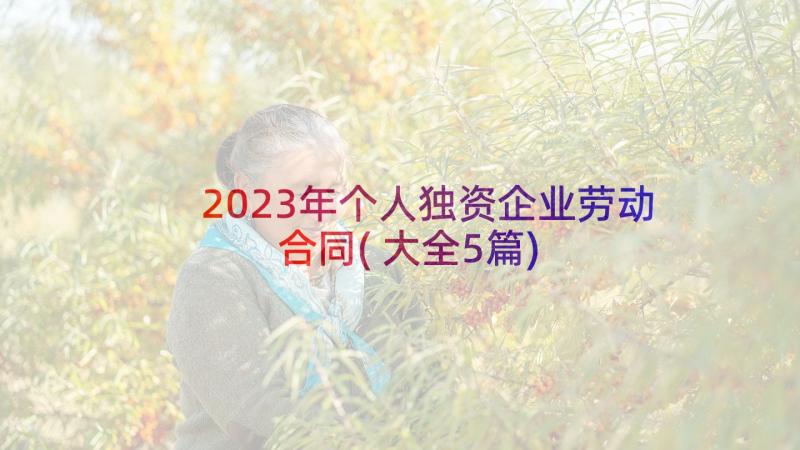 2023年个人独资企业劳动合同(大全5篇)