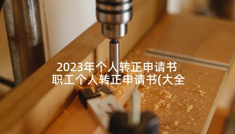 2023年个人转正申请书 职工个人转正申请书(大全9篇)