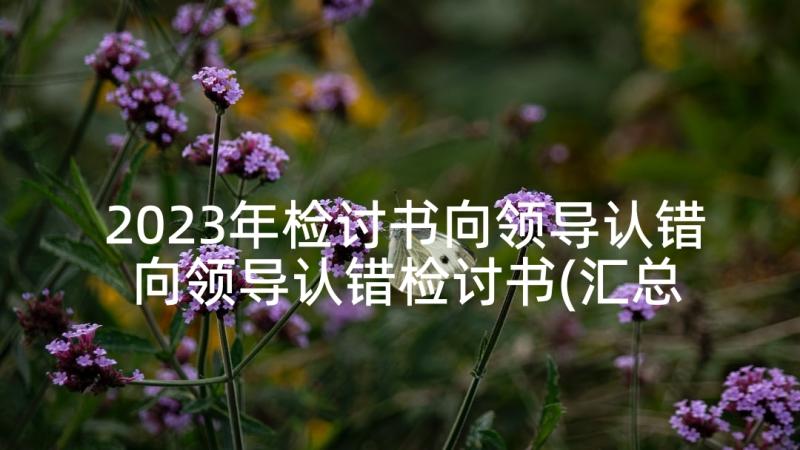 2023年检讨书向领导认错 向领导认错检讨书(汇总8篇)