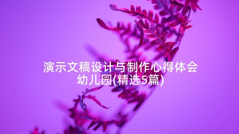 演示文稿设计与制作心得体会幼儿园(精选5篇)