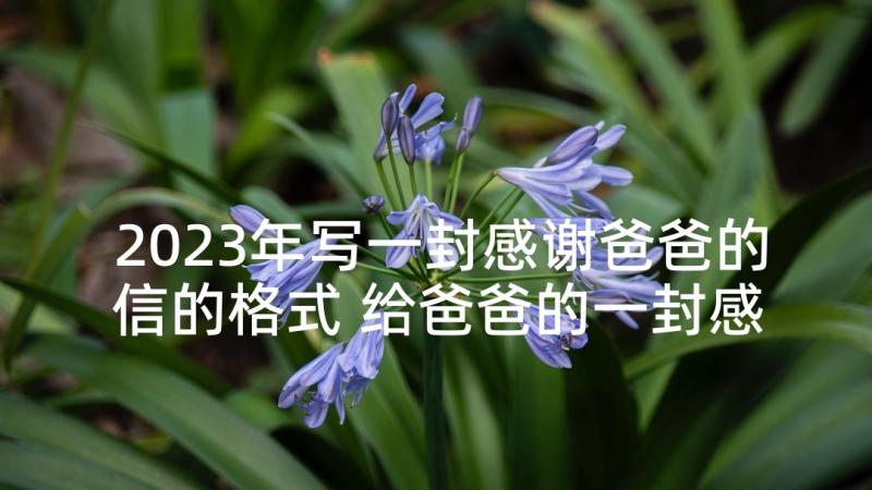 2023年写一封感谢爸爸的信的格式 给爸爸的一封感谢信(汇总10篇)