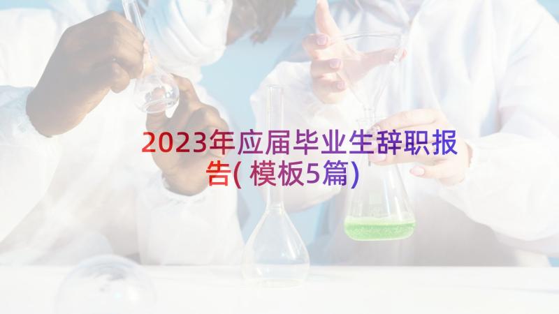 2023年应届毕业生辞职报告(模板5篇)