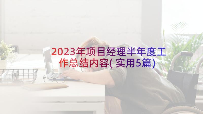 2023年项目经理半年度工作总结内容(实用5篇)