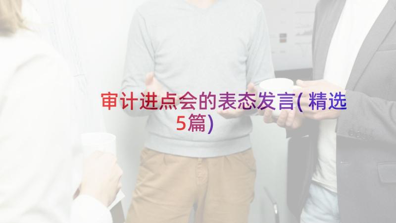 审计进点会的表态发言(精选5篇)