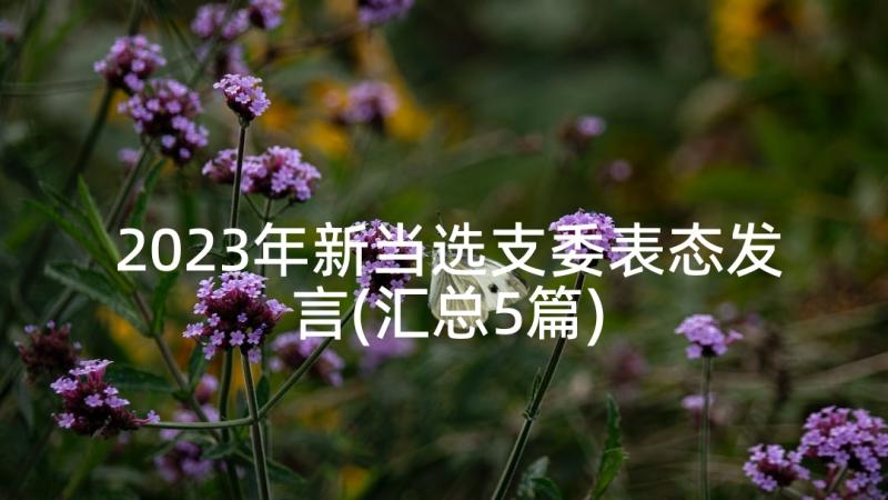 2023年新当选支委表态发言(汇总5篇)