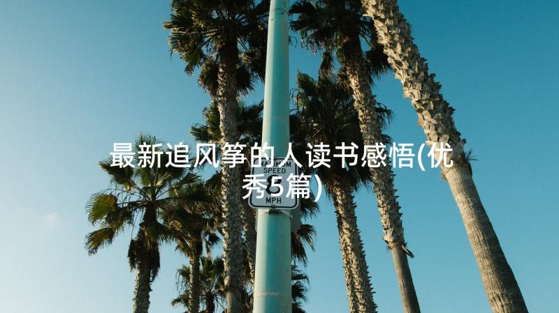 最新追风筝的人读书感悟(优秀5篇)