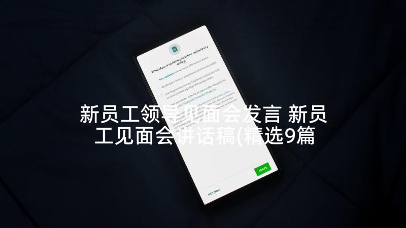 新员工领导见面会发言 新员工见面会讲话稿(精选9篇)