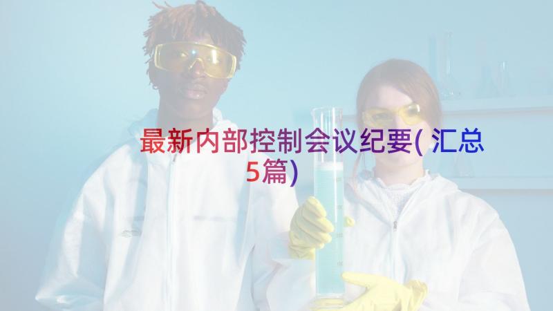 最新内部控制会议纪要(汇总5篇)