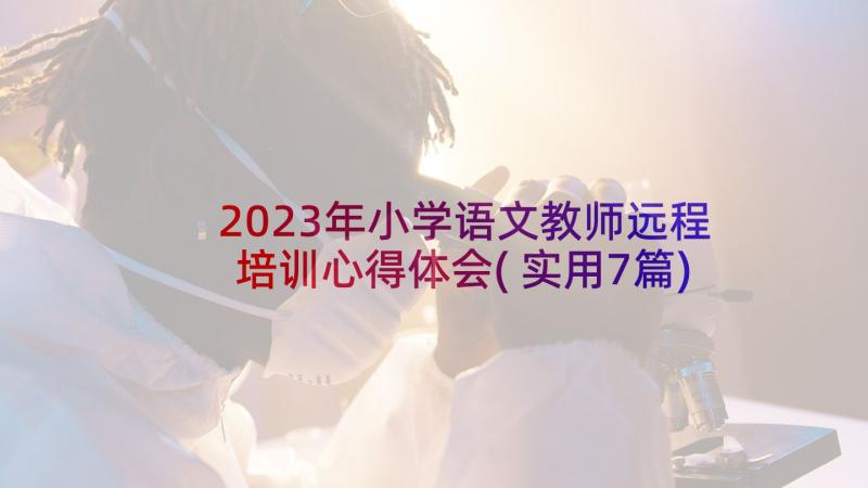 2023年小学语文教师远程培训心得体会(实用7篇)