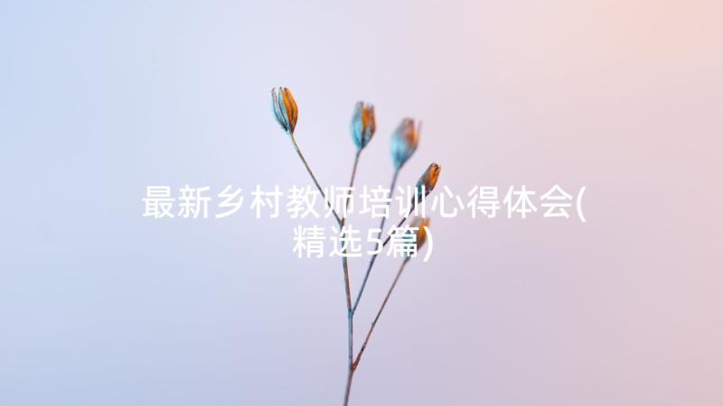 最新乡村教师培训心得体会(精选5篇)