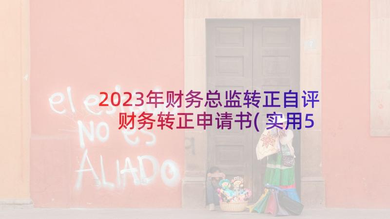 2023年财务总监转正自评 财务转正申请书(实用5篇)