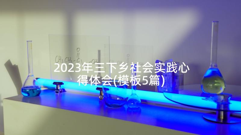 2023年三下乡社会实践心得体会(模板5篇)