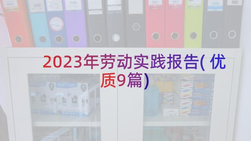 2023年劳动实践报告(优质9篇)