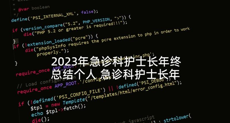 2023年急诊科护士长年终总结个人 急诊科护士长年终工作总结(优秀5篇)