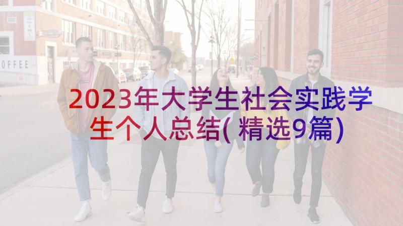 2023年大学生社会实践学生个人总结(精选9篇)