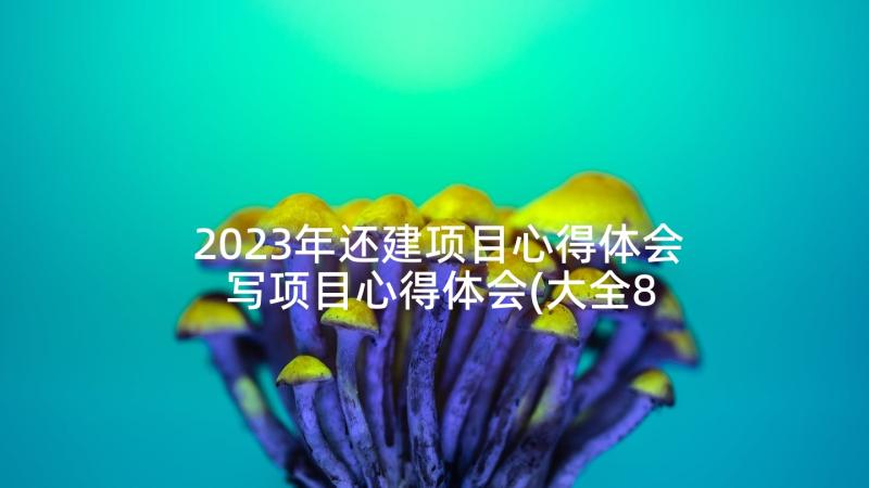 2023年还建项目心得体会 写项目心得体会(大全8篇)