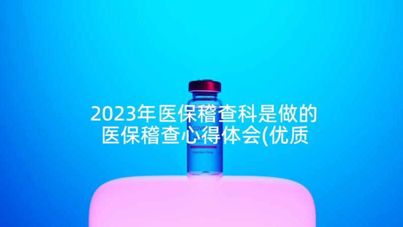 2023年医保稽查科是做的 医保稽查心得体会(优质5篇)