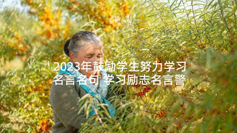 2023年鼓励学生努力学习名言名句 学习励志名言警句(大全10篇)