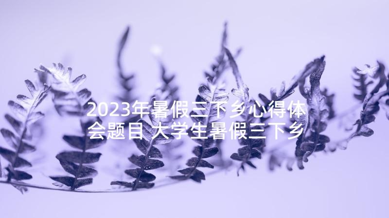 2023年暑假三下乡心得体会题目 大学生暑假三下乡心得体会(优质8篇)