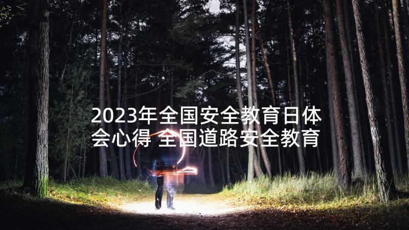 2023年全国安全教育日体会心得 全国道路安全教育心得体会(汇总8篇)